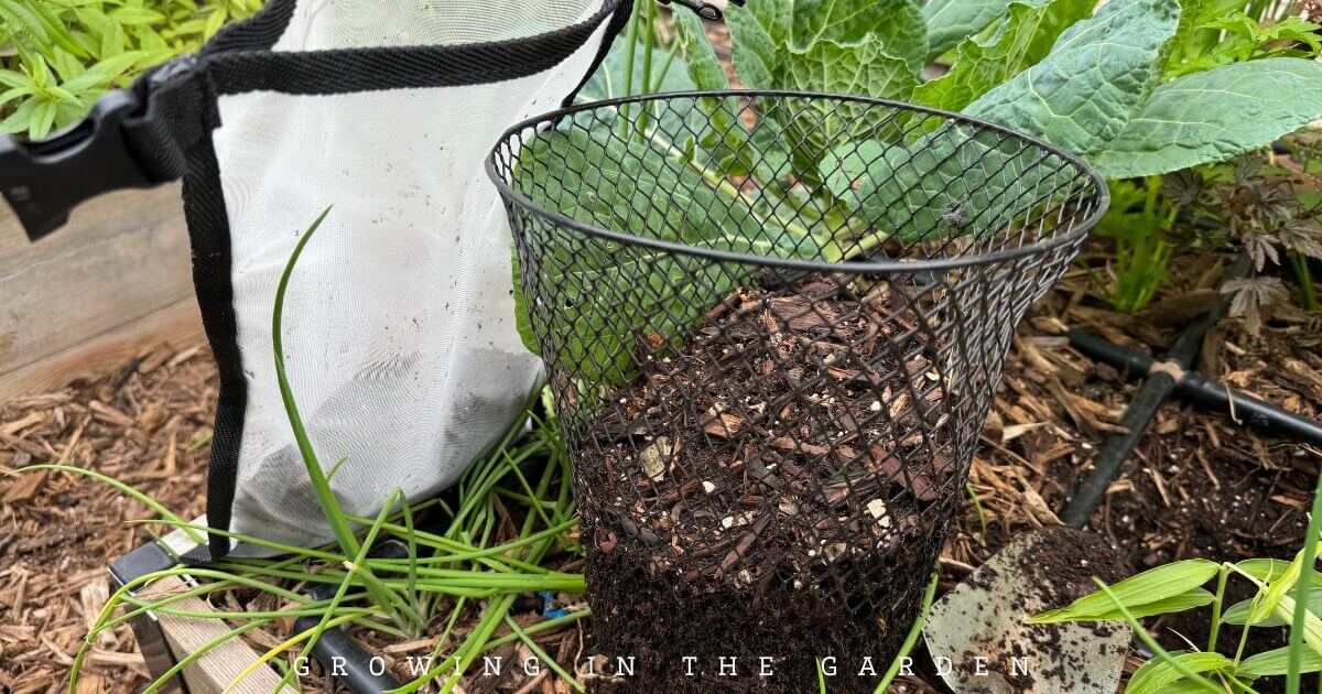 How to Make Worm Castings Tea: Zach's Recipe for a Pest-Free Garden