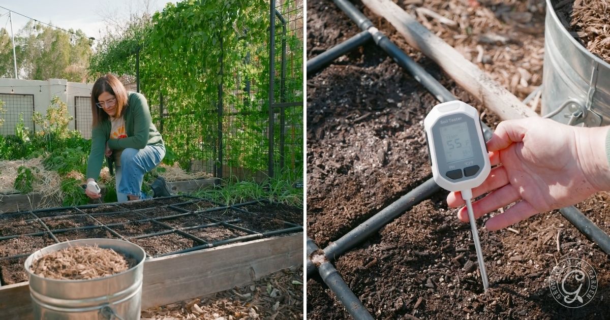 Monitor soil temperature