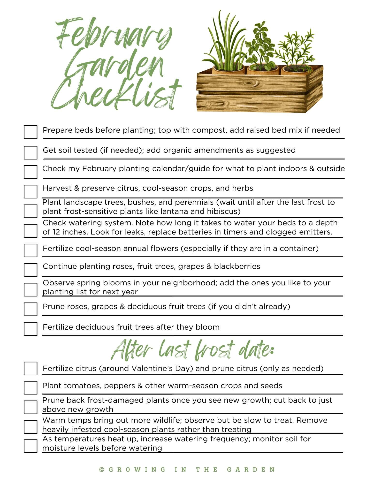 Use watering helps like an olla and moisture meter to help with watering containers