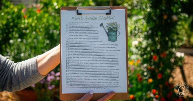 Person holding a clipboard with a March garden checklist in a sunny, colorful garden setting.