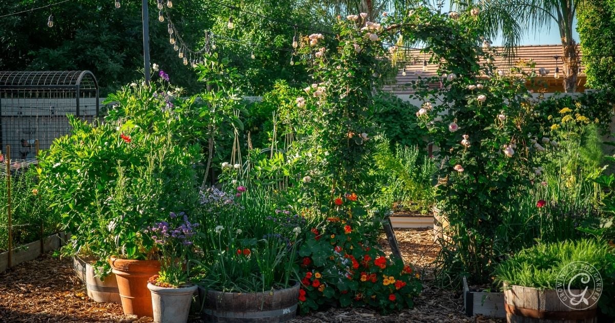 Arizona Garden in April