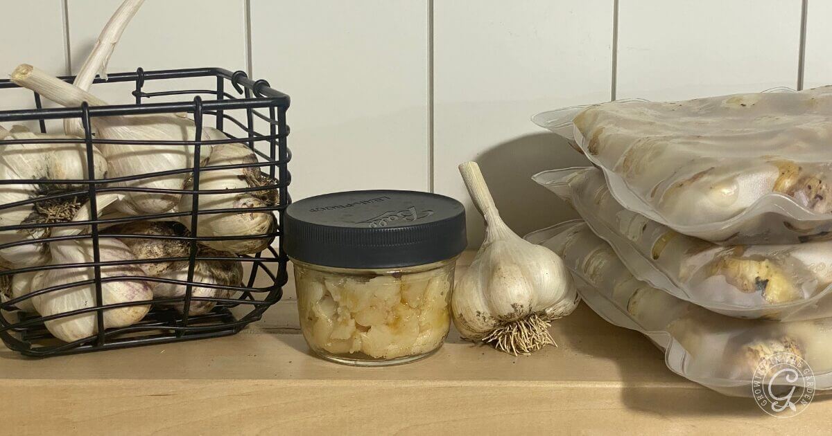 How to Make & Freeze Roasted Garlic