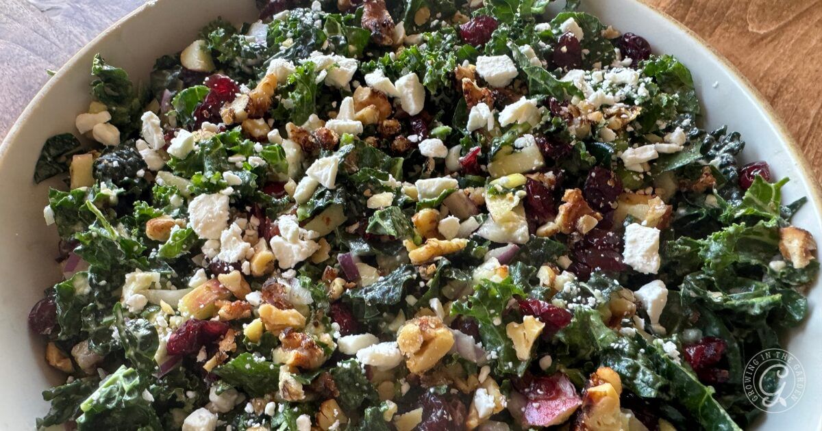 The Best Kale Salad You'll Ever Make