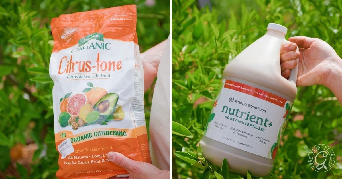 Split image: Left shows a hand holding a bag of Espoma Organic Citrus-tone fertilizer; right shows a jug of Arizona Worm Farm Nutrient+