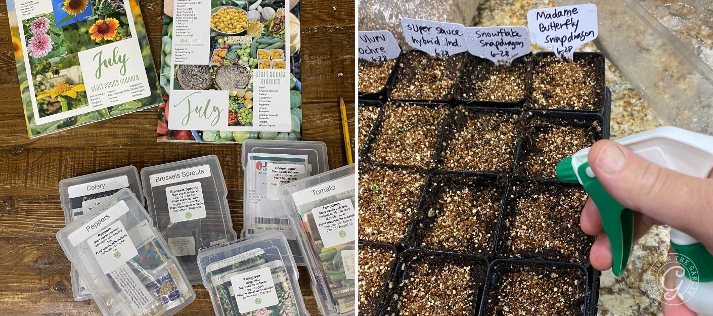 Left: Seed packets and gardening planner; Right: Hand spraying water on labeled seed trays with seedlings.