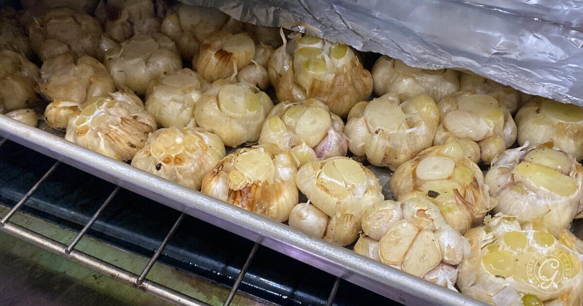 How to Make & Freeze Roasted Garlic