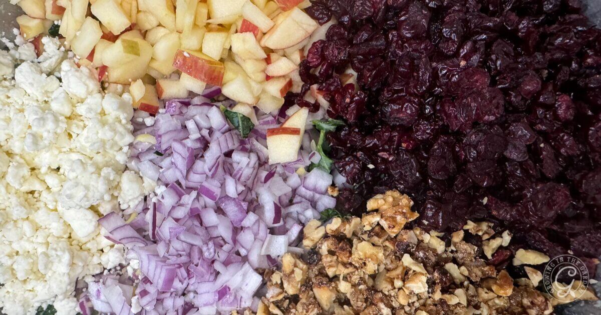 The Best Kale Salad You'll Ever Make