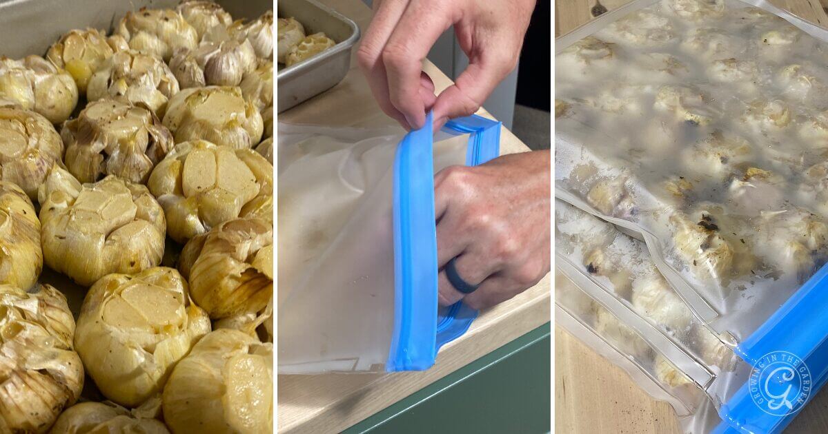 How to Make & Freeze Roasted Garlic