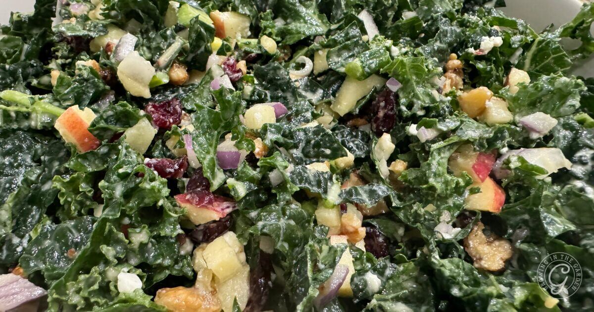 The Best Kale Salad You'll Ever Make