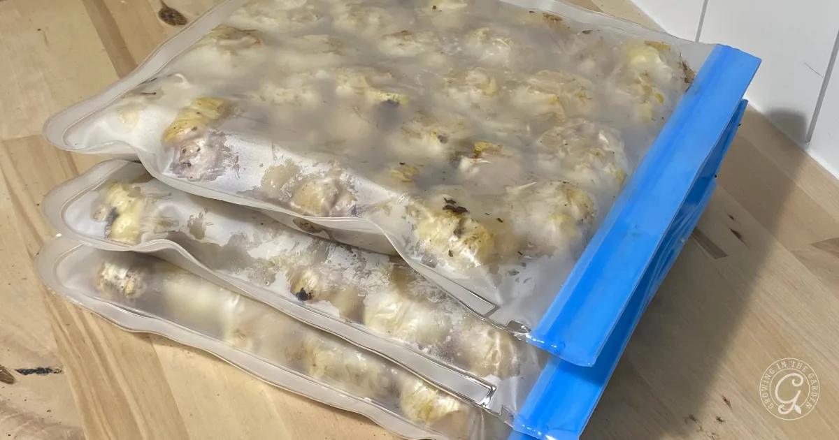 Three ziplock bags filled with frozen food, stacked on a wooden surface.