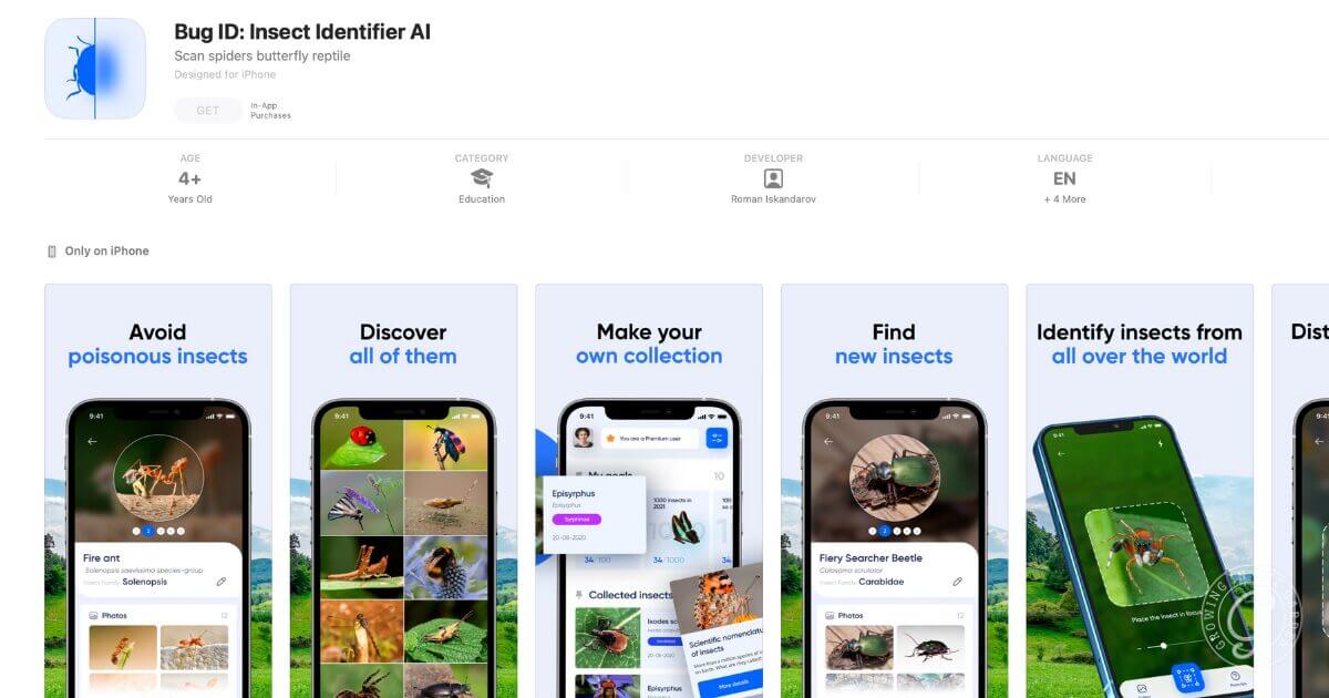 App store page for Bug ID: Insect Identifier AI with screenshots showing insect identification features.