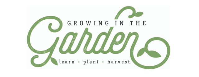 Why Add Worms to Your Garden: Benefits of Worm Castings