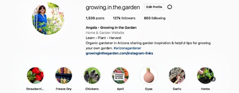 Why Add Worms to Your Garden: Benefits of Worm Castings