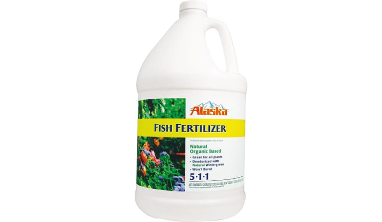 Amazon Favorites