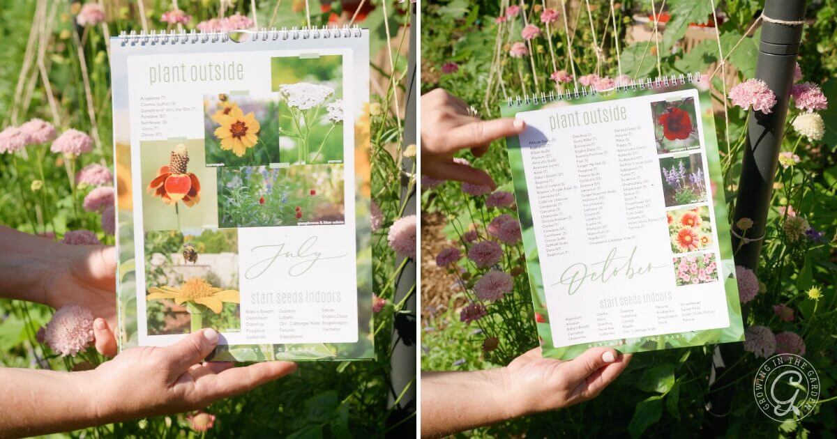 Hands holding a gardening calendar outdoors, open to pages for July and October, with flower photos and planting lists.