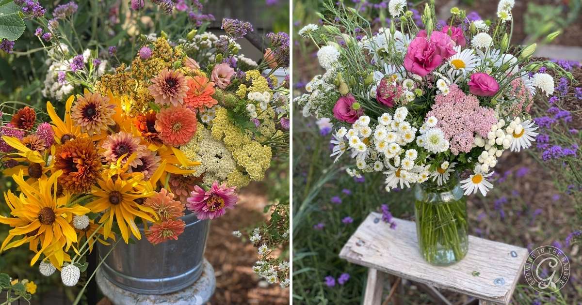 How to Grow Yarrow: Attract Pollinators and Beneficial Insects