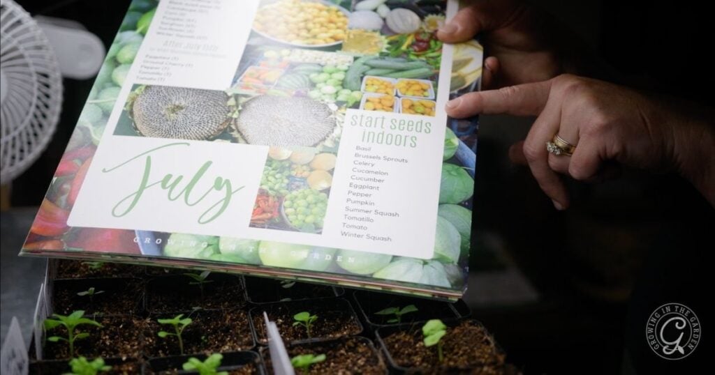 A person points to a gardening guide with July seed starting tips and advice on what to plant in July in Arizona, above rows of young seedlings.