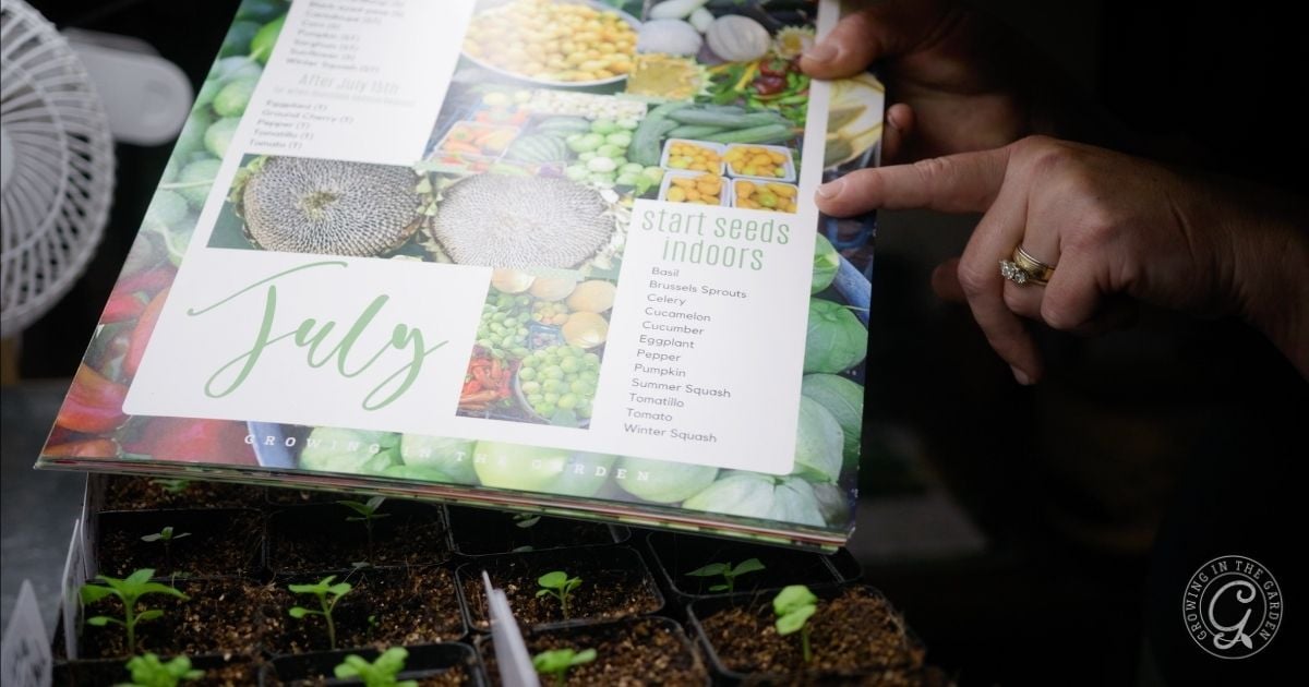A person points to a gardening guide with July seed starting tips and advice on what to plant in July in Arizona, above rows of young seedlings.