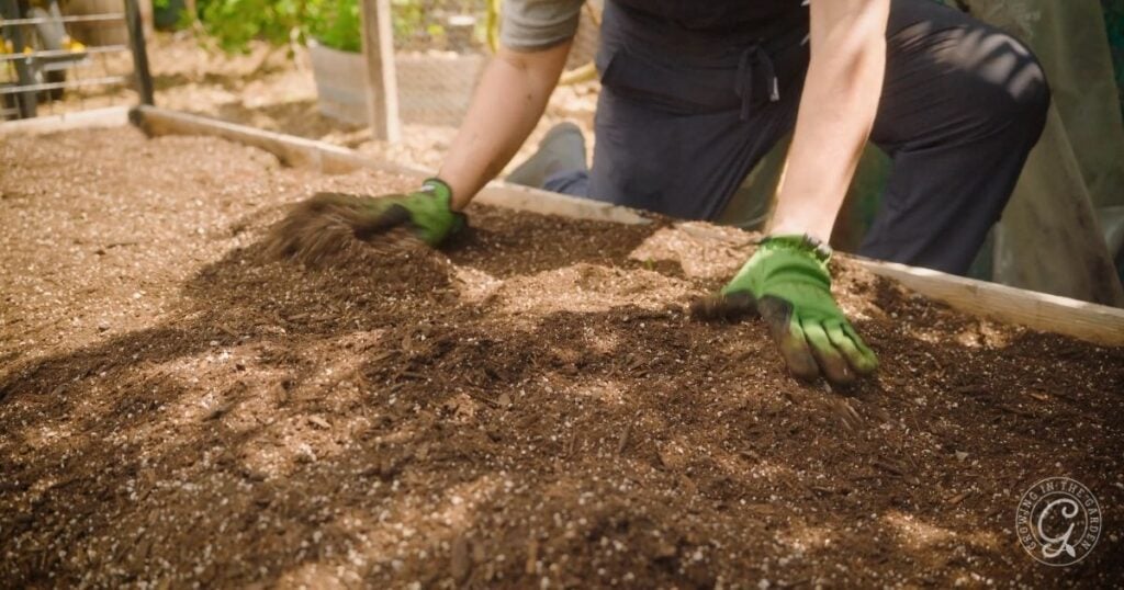 Person wearing green gloves spreading soil in a raised garden bed outdoors, preparing for what to plant in July in Arizona or looking forward to what to harvest in July in Arizona.
