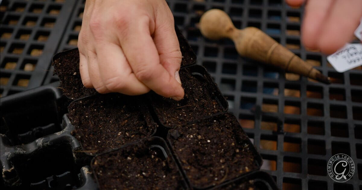 A hand planting seeds in small soil pots on a black grid surface, with a gardening tool nearby.