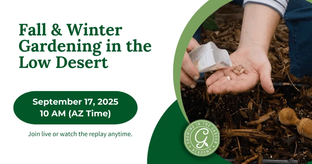 Hand planting seeds in soil; text: Fall & Winter Gardening in the Low Desert, Sept 17, 2025, 10 AM (AZ Time). Don’t forget to order bulbs for fall planting!.