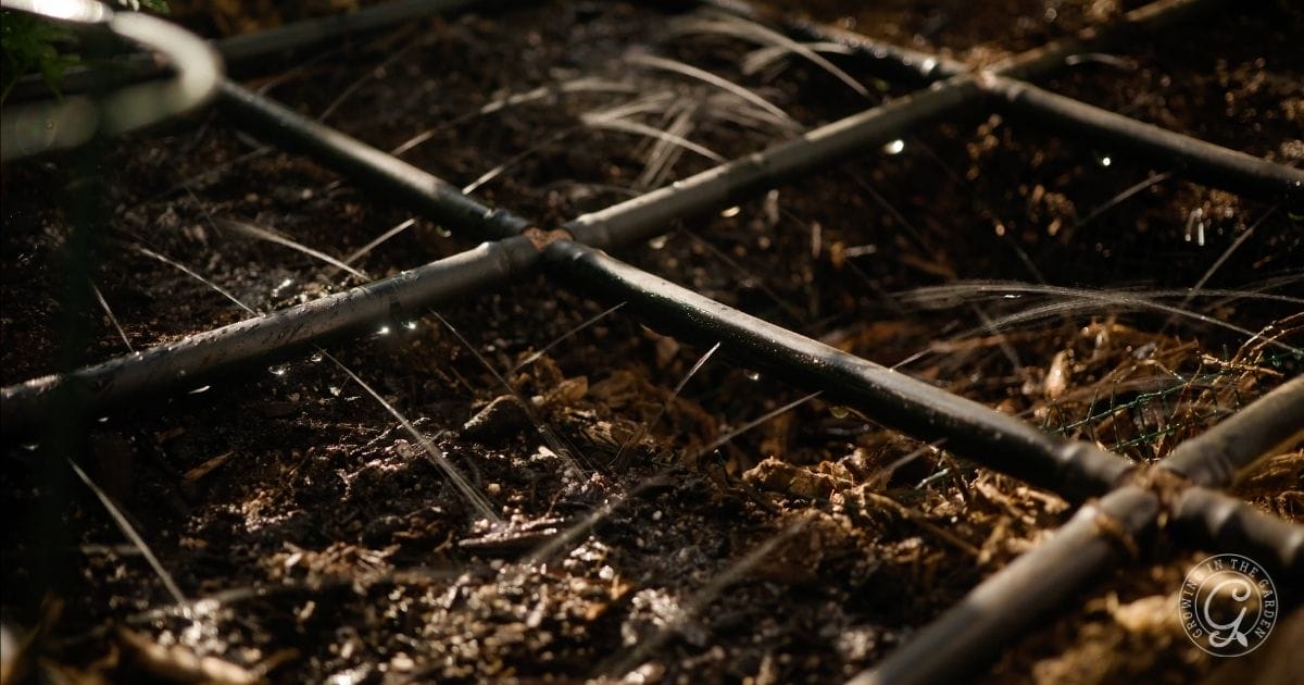 Close-up of a grid of irrigation pipes watering soil in a garden bed.