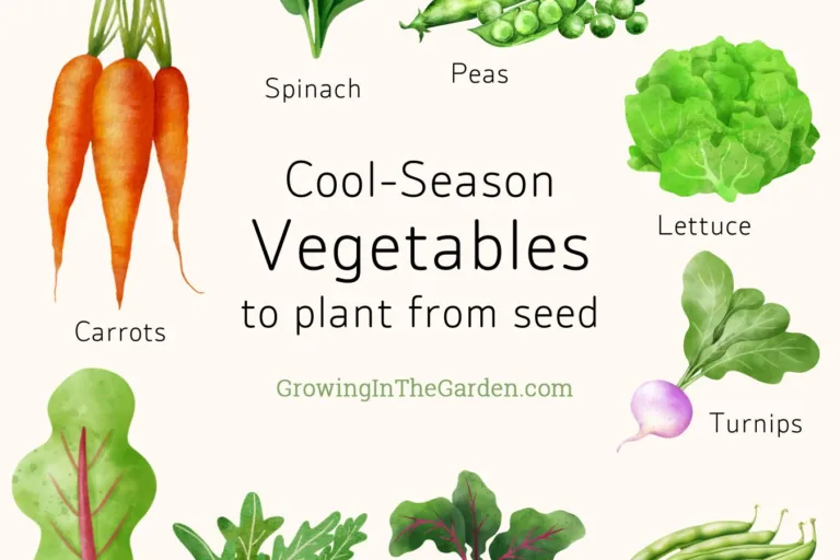 10 Cool-Season Crops I Always Grow From Seed featured image