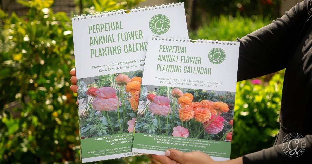 What to Plant and Harvest in September: Low Desert of Arizona