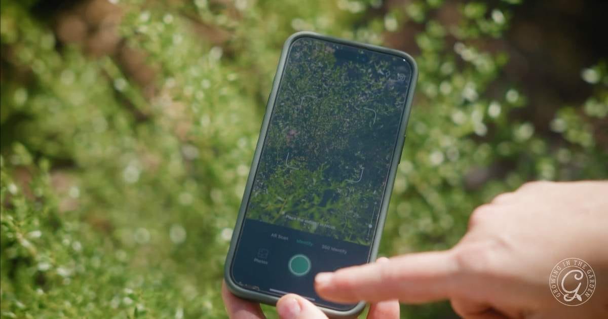 A hand holds a smartphone outdoors, with the camera app open and focused on green foliage in the background—perfect for capturing Arizona Garden in September or tracking September Garden Tasks. The screen displays settings and a large green capture button.