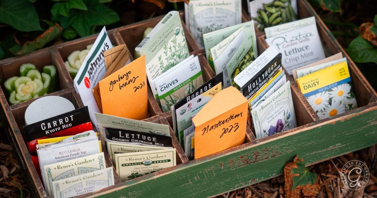 What to Plant and Harvest in October