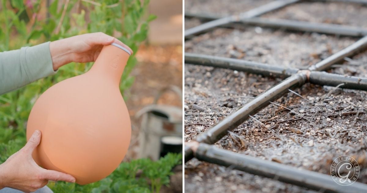 Left: A person holds a terracotta olla&mdash;a traditional watering method used in learning how to plant tomatoes. Right: Drip irrigation tubes laid out on garden soil, offering modern ways to keep tomato plants hydrated.