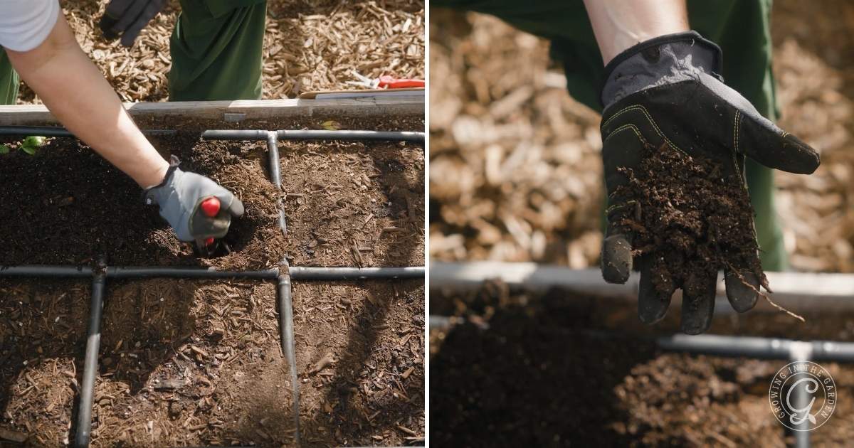 Check your soil