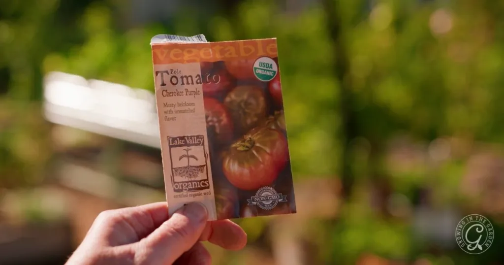 A hand holds an organic pole tomato seed packet outdoors with blurred greenery in the background, showcasing some of the best tomatoes for Arizona gardeners.