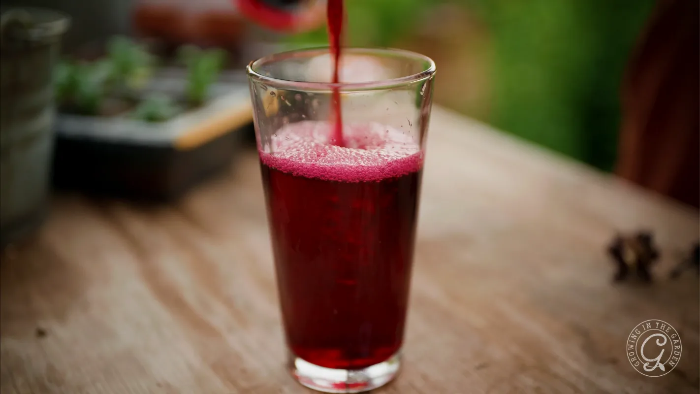 Red juice being poured into a clear glass on a wooden table with plants blurred in the background.
