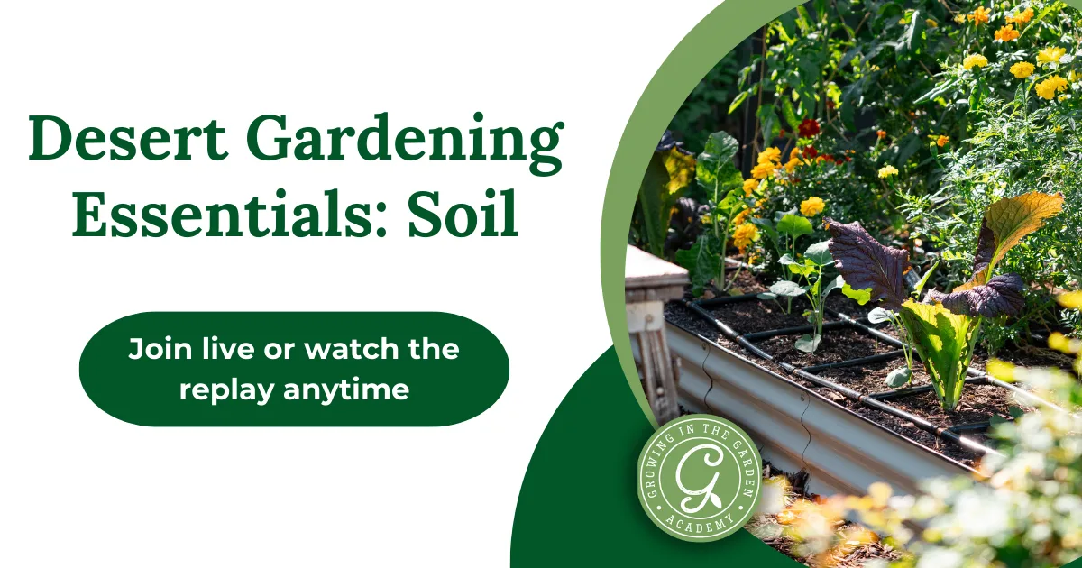 Raised Garden Bed with green plants and flowers; text reads &ldquo;Desert Gardening Essentials: Best Soil for Raised Bed Gardening.&rdquo;.