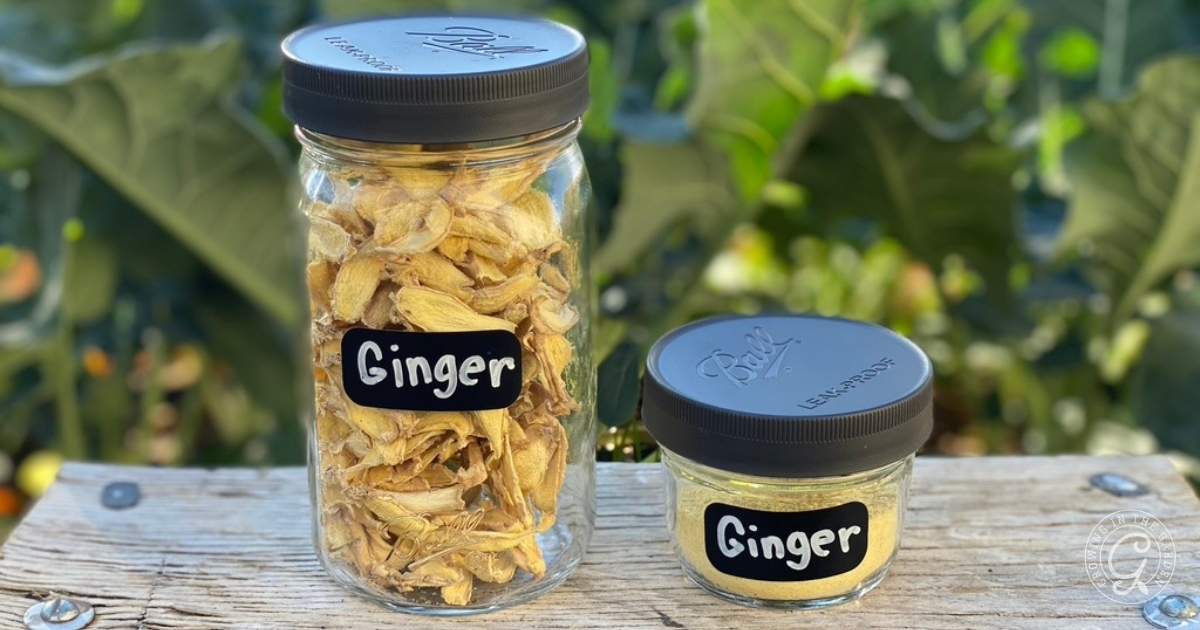 How to Preserve Ginger: 3 Simple and Effective Methods