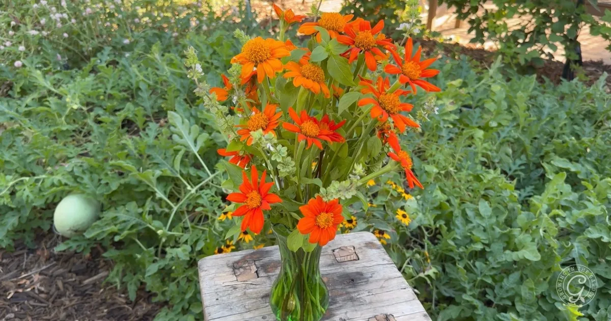 A glass vase of bright orange flowers sits on a wooden surface in a lush green garden.
