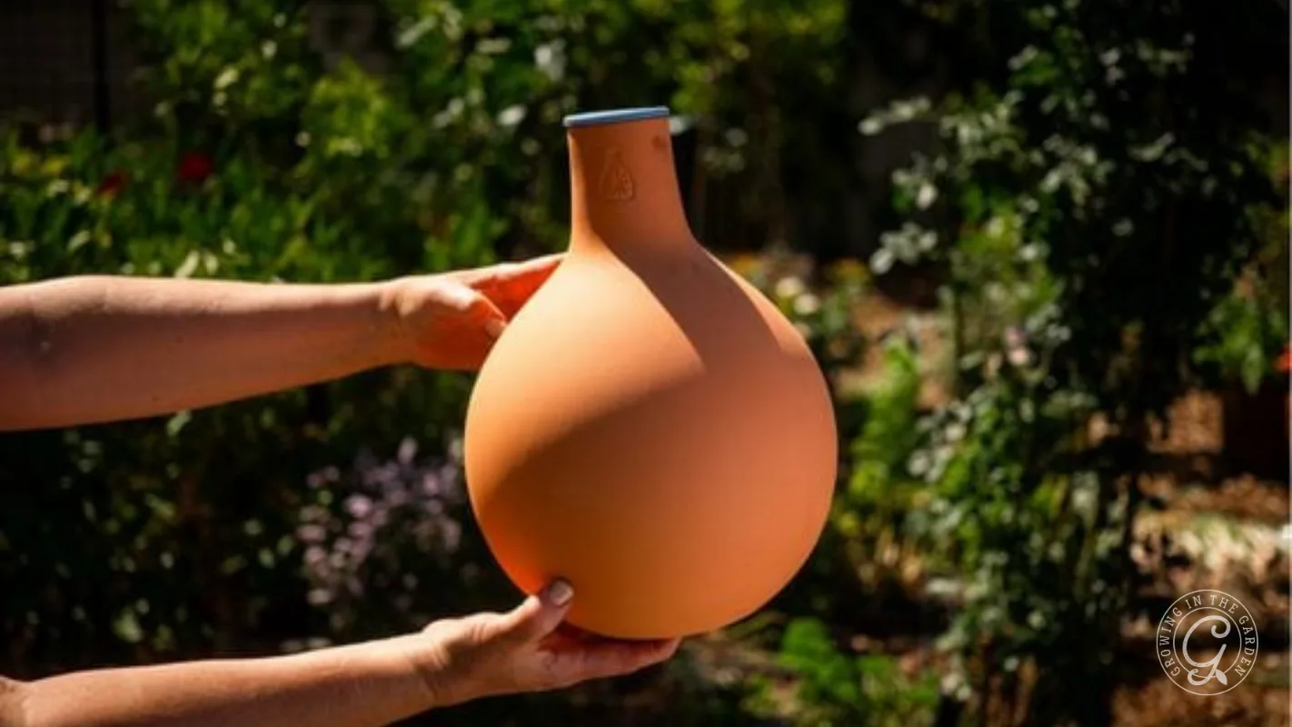 A person holds a round, orange clay olla pot in a sunlit garden with green plants in the background.