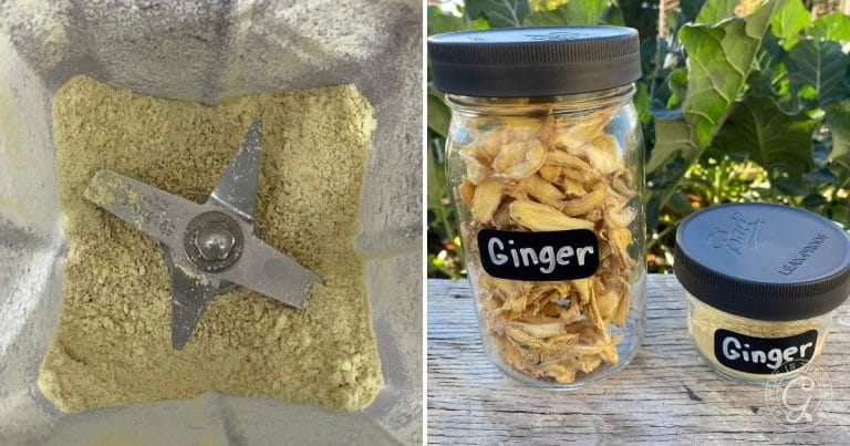 How to Preserve Ginger: Freezing, Dehydrating & Ginger Paste