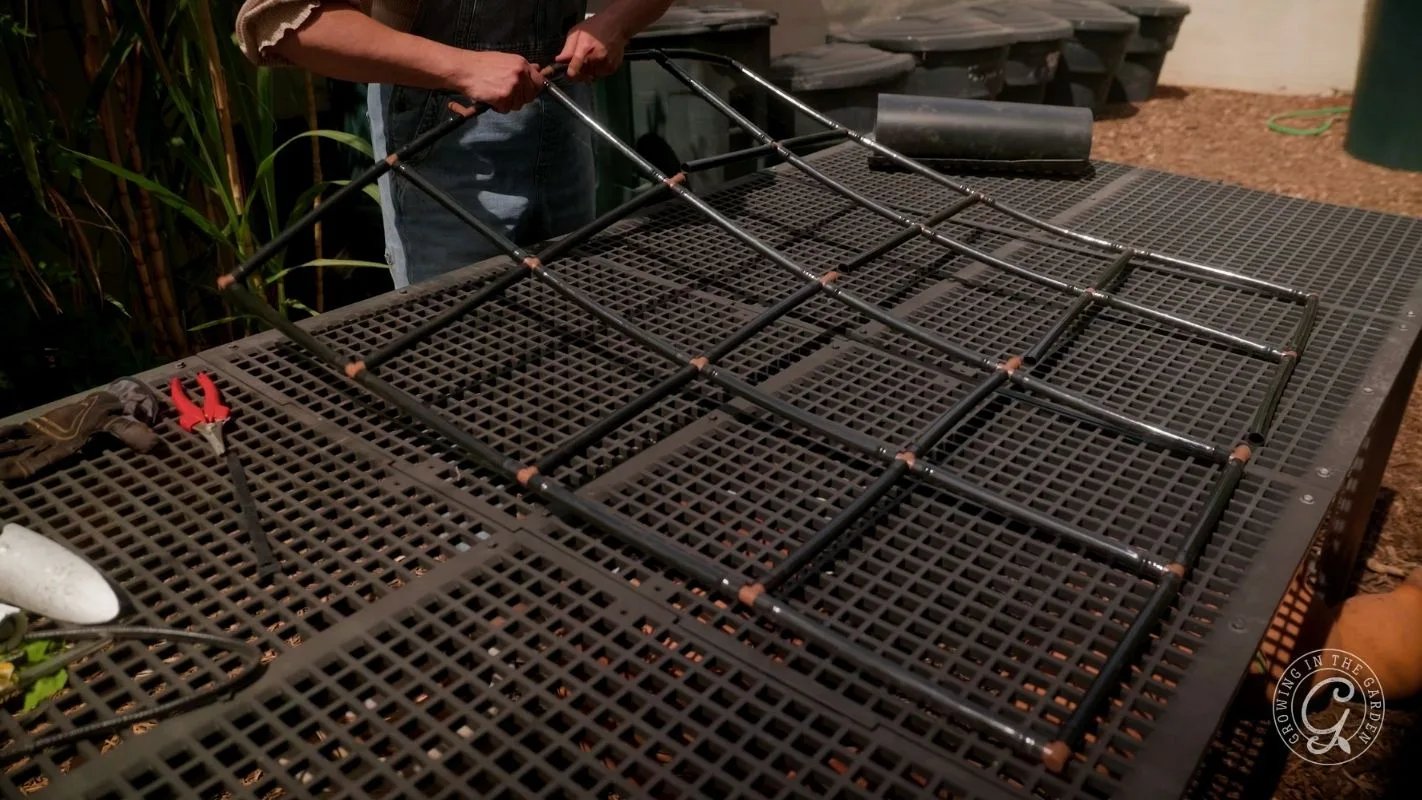 A person adjusts a metal grid over black seedling trays in a greenhouse or nursery setting.