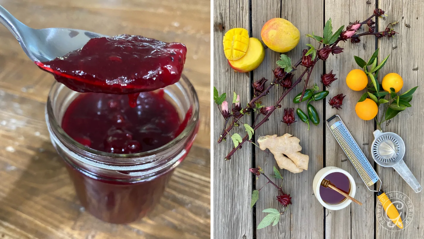 Jar of red jam on left; ingredients like hibiscus, ginger, and fruit on wooden table on right.