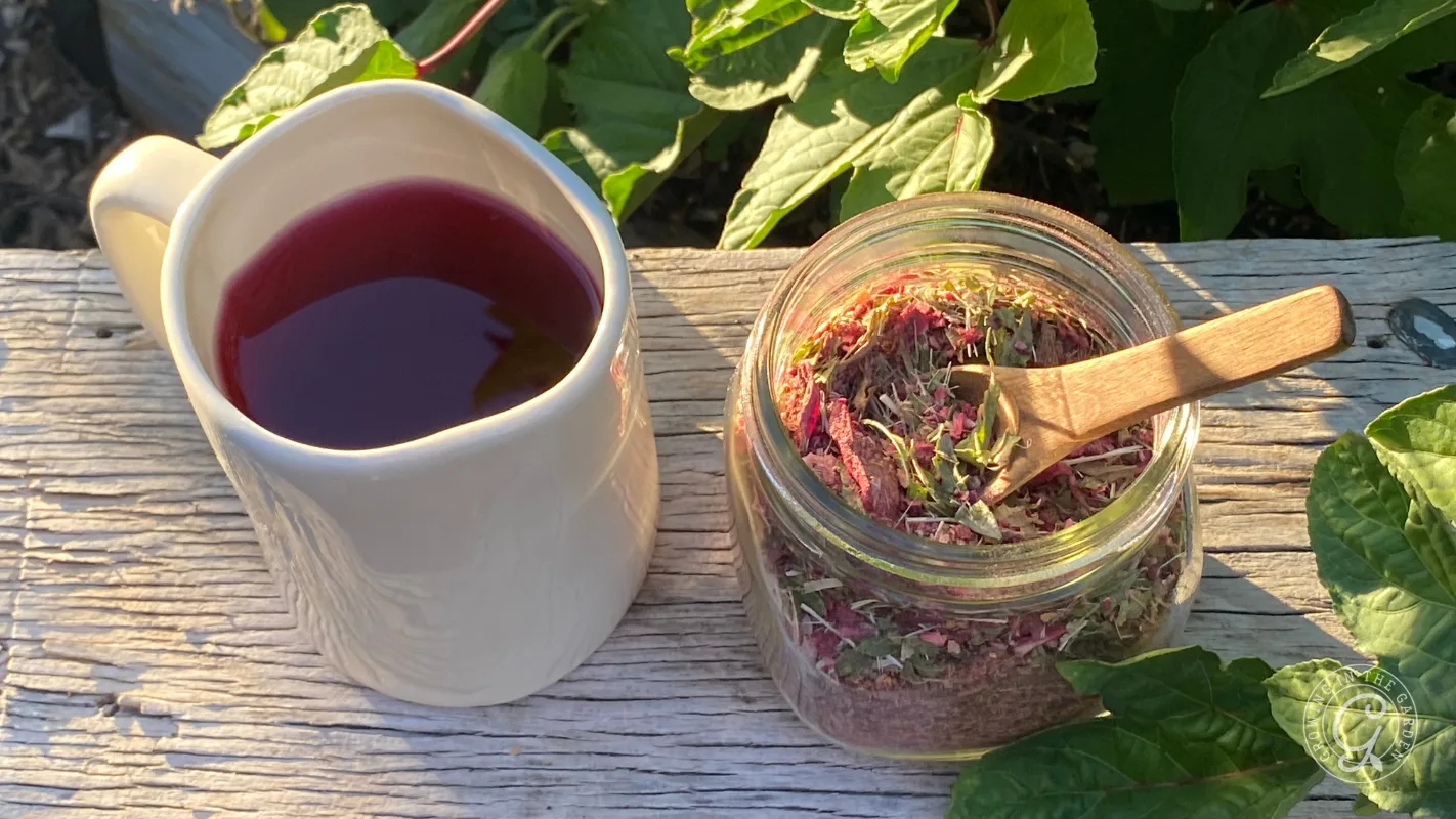 White mug with red herbal tea beside a jar of dried herbs and a wooden spoon, on a wooden surface outdoors.