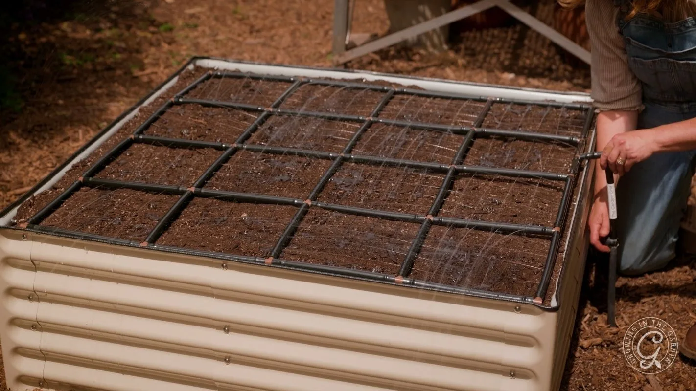 A person waters a raised garden bed divided into square sections, each filled with soil.