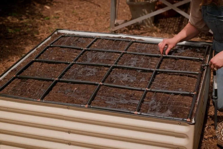 The Best Way to Water Raised Bed Gardens featured image