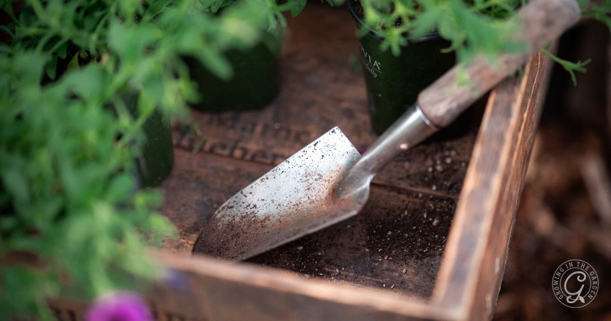 A metal garden trowel with soil rests in a wooden crate surrounded by green potted plants.