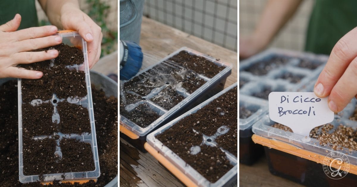 Burpee Seed Trays