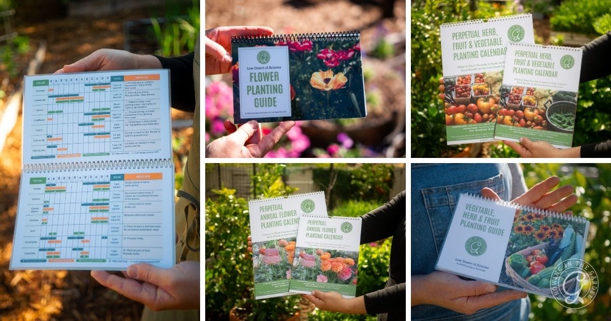 A collage of five images shows hands holding various spiral-bound gardening guides and planting calendars, including flower and vegetable planting guides, with tips on what to plant in December, displayed outdoors in a garden setting.