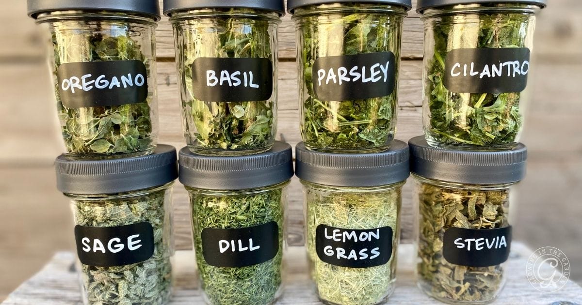 Gifts from the Garden: Homegrown Holiday Ideas - Growing In The Garden