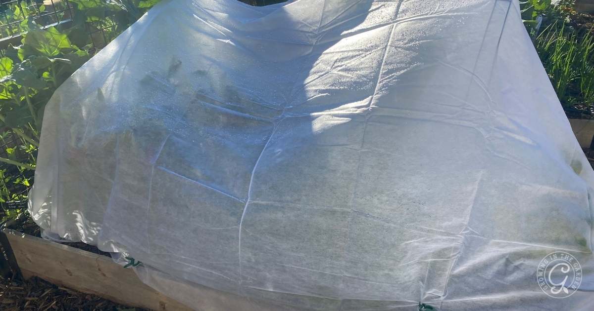 Frost protection