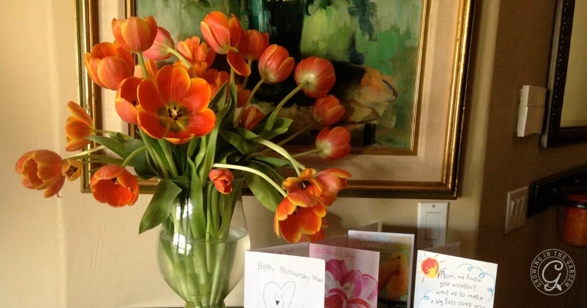 How to Grow Tulips in the Low Desert of Arizona